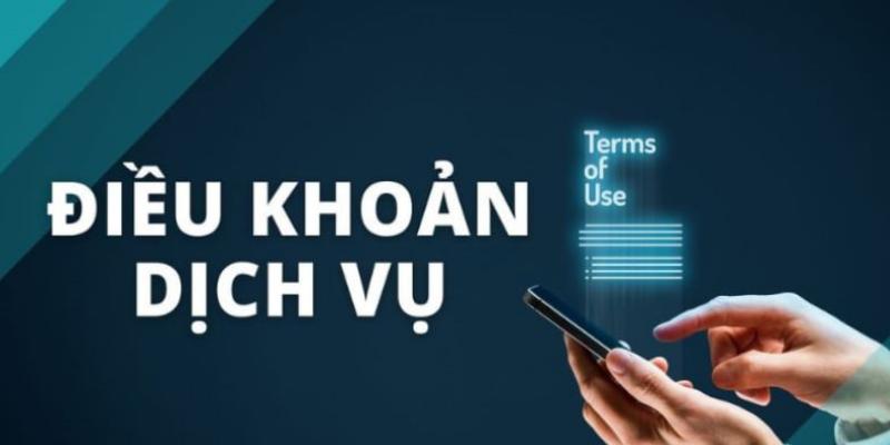 Vai trò của điều khoản 123BET mà ít ai biết